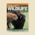 NWF Membership - Personal