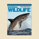 NWF Membership - Gift