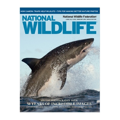 NWF Membership - Gift