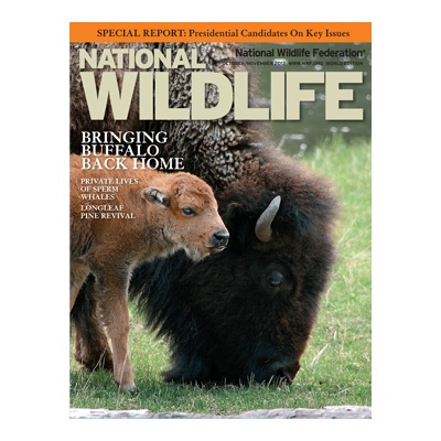 NWF Membership - Gift