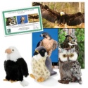 Birds of Prey Wildlife Collection