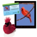 Adopt a Northern Cardinal - $30