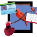 Adopt a Northern Cardinal
