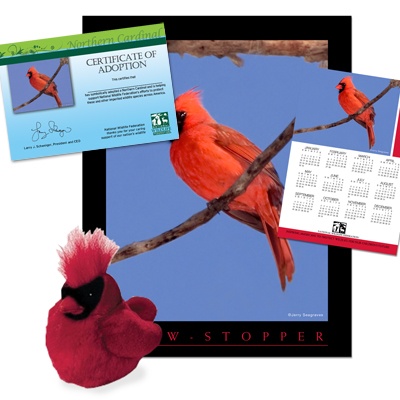 Adopt a Northern Cardinal - $50