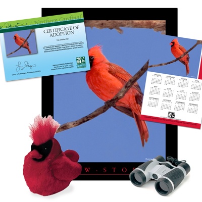 Adopt a Northern Cardinal - $75