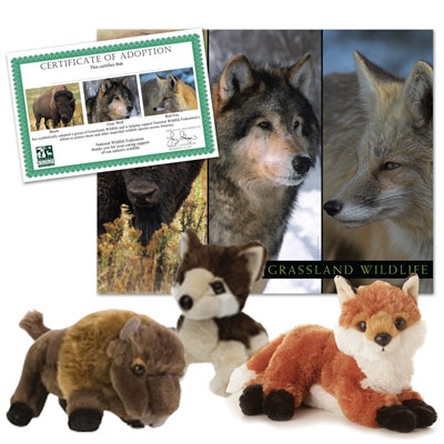 Grassland Wildlife Collection
