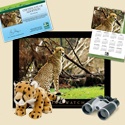 Adopt a Cheetah - $100