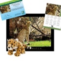 Adopt a Cheetah - $50