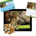 Adopt a Cheetah - $75
