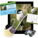 Adopt a Black-capped Chickadee - $100