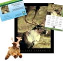 Adopt a Caribou - $30