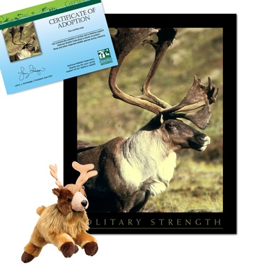 Adopt a Caribou - $30