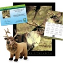 Adopt a Caribou - $50