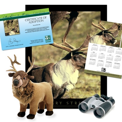 Adopt a Caribou - $75