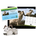 adopt a dall sheep    50