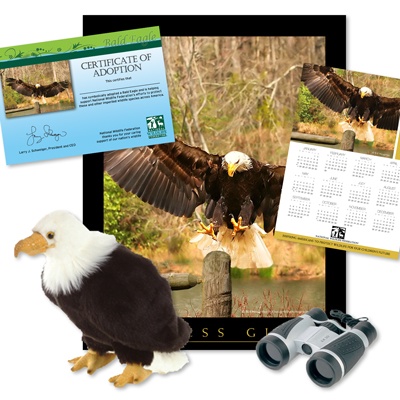 Adopt a Bald Eagle - $100