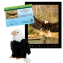 Adopt a Bald Eagle - $30