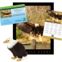 Adopt a Bald Eagle - $50