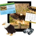 Adopt a Bald Eagle - $75