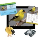Adopt an American Goldfinch - $100