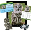 Adopt a Great Gray Owl