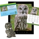Adopt a Great Gray Owl