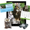 Adopt a Great Horned Owl