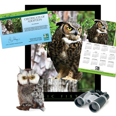 Adopt a Great Horned Owl - $75