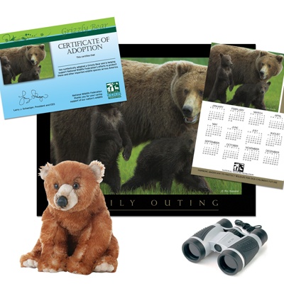 Adopt a Grizzly Bear - $100