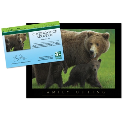 Adopt a Grizzly Bear - $20