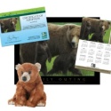 Adopt a Grizzly Bear - $50