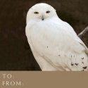 NWF Gift Tags