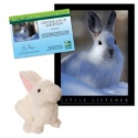 Adopt a Snowshoe Hare - $30