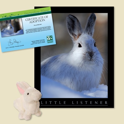 Adopt a Snowshoe Hare - $30