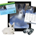 Adopt a Snowshoe Hare - $75