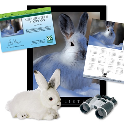 Adopt a Snowshoe Hare - $75