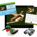 Adopt a Ruby-Throated Hummingbird