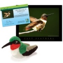 Adopt a Ruby-Throated Hummingbird - $30