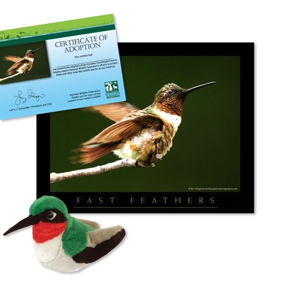 Adopt a Ruby-Throated Hummingbird - $30