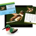 Adopt a Ruby-Throated Hummingbird