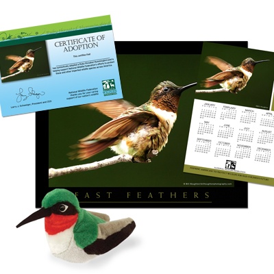 Adopt a Ruby-Throated Hummingbird - $50