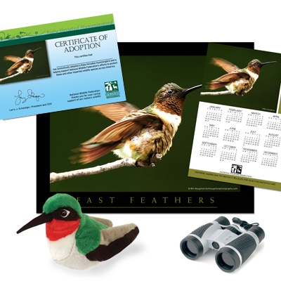 Adopt a Ruby-Throated Hummingbird - $75
