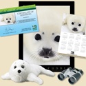 Adopt a Harp Seal - $100