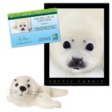 Adopt a Harp Seal - $30