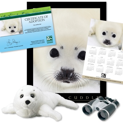 Adopt a Harp Seal - $75