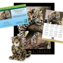 Adopt a Jaguar - $50