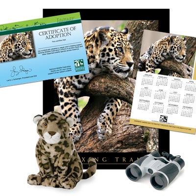 Adopt a Jaguar - $75