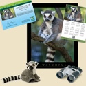 Adopt a Lemur - $100