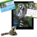 Adopt a Lemur