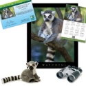 Adopt a Lemur
